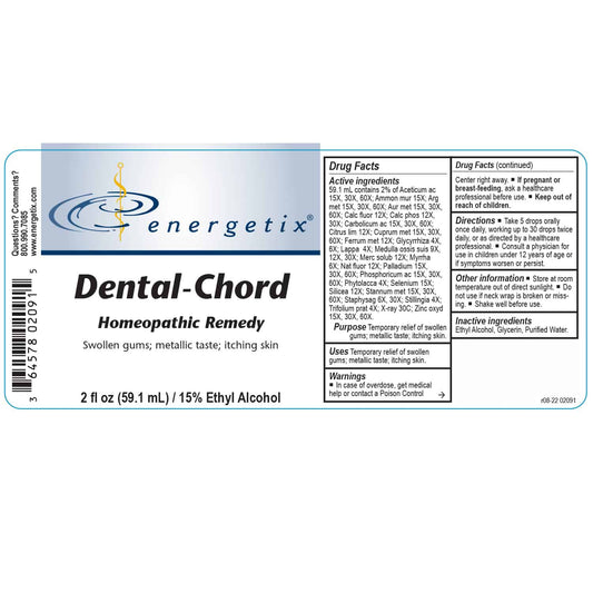 Dental-Chord