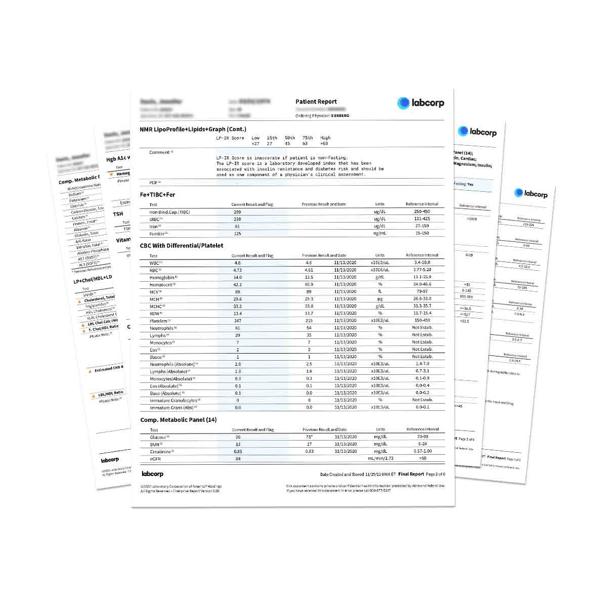 Blood Test / Blood Work - Extensive Homocysteine Lab Work in USA