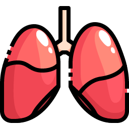 Lungs