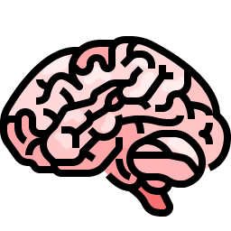 Brain