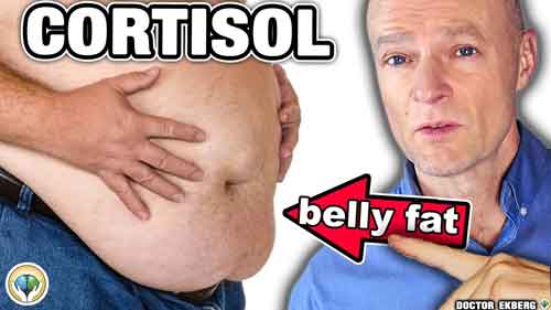 10 Warning Signs Your CORTISOL Is Way Too High - Belly Fat