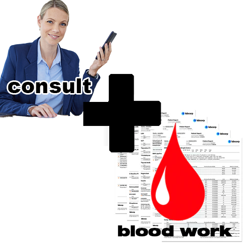 Blood Work + Consultation