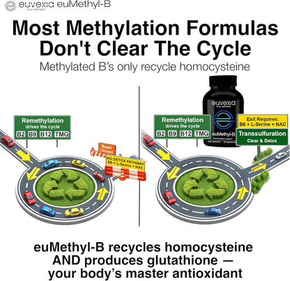 Diagram comparing methylation cycles with euMethyl-B supplement, featuring text about its functions.