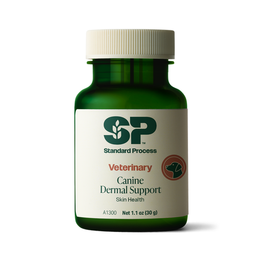 Canine Dermal Support, 30 g