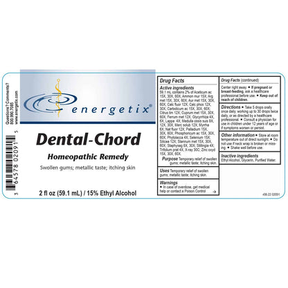 Dental-Chord